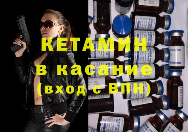 мет Алексин