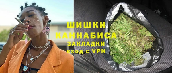 мет Алексин