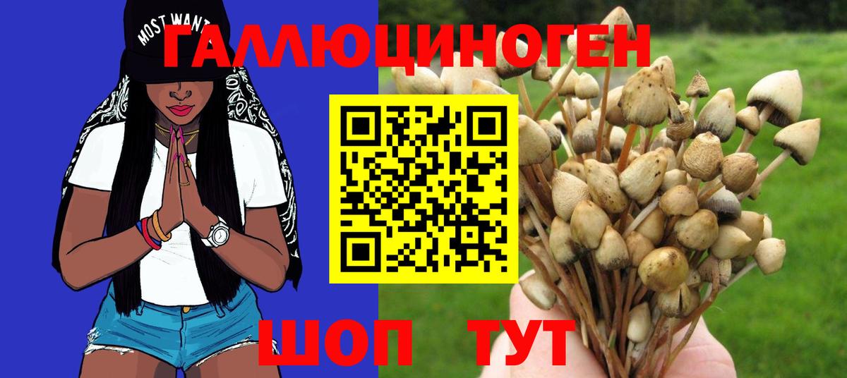 Псилоцибиновые грибы ЛСД  Псилоцибиновые грибы Magic Shrooms  Лесосибирск 